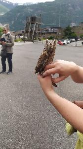 new_new_new_new_2-mai-2024-saillon : 2250x4000